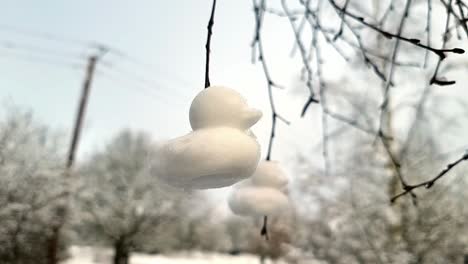 Shaped-snow-ducks-decoration-hung-from-bare-winter-tree-branches