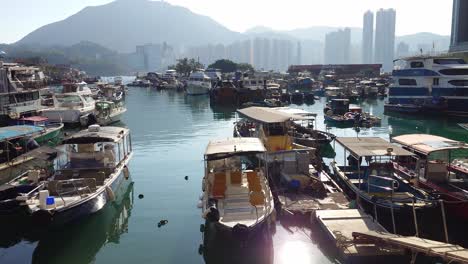 Front-view-of-multiple-boats-kept-on-harbor-in-Typhoon-Shelter-with-hill-and-buildings-at-background-in-Lei-Yu-Mun,-Hong-Kong