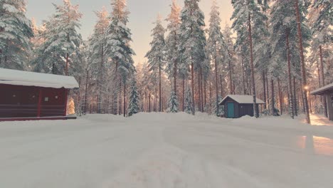 Winter-golden-sunlight-through-frozen-forest-trees-Finland-log-cabin-park