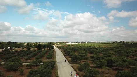 Drone-view-of-Bicycle-riding-through-olive-orchards-in-Sicily