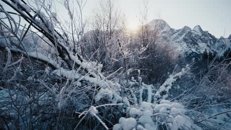 Schneebedeckte-Äste,-Die-Sich-Vor-Einem-Atemberaubenden-Bergsonnenuntergang-Abheben