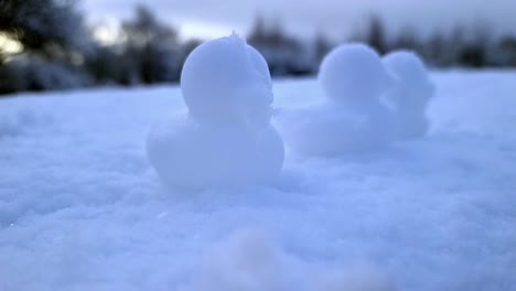Collection-of-shaped-snow-ducks-decoration-sitting-in-a-row-on-winter-snow-at-sunrise