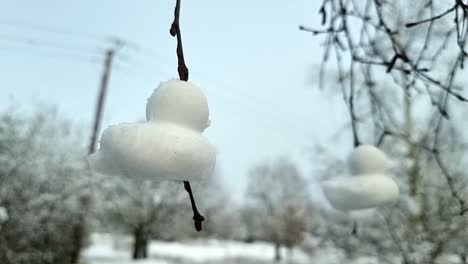 Shaped-snow-ducks-sculpture-hanging-from-bare-winter-tree-branches