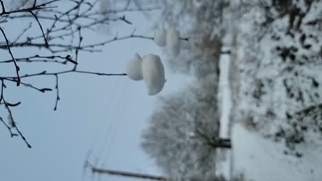 Vertikal-Geformte-Schneeenten-Ornament,-Die-An-Kahlen-Winterzweigen-Hängen