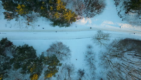 Aerial-shot-provides-a-view-of-a-park-area-covered-in-snow