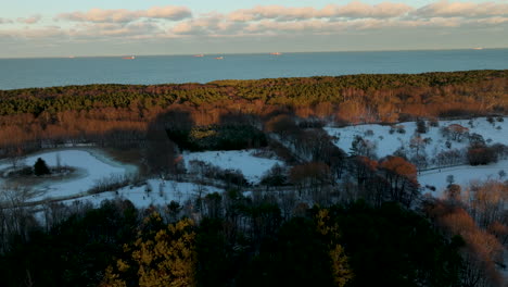 Snowy-landscape-with-a-forest-at-sunset,-light-casting-long-shadows,-sea-in-the-background,-aerial-view