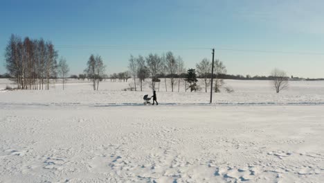 Aerial-approach-toward-woman-with-baby-carriage,-sunny-countryside-winter-walk