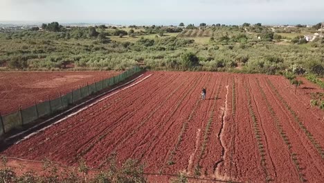Vista-Por-Drones-De-Un-Agricultor-En-Un-Campo-De-Suelo-Rojo-En-Sicilia