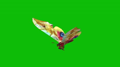 Bunter-Schmetterling,-Der-Auf-Grünem-Bildschirm-Fliegt,-Nahtlose-Schleife-3D-Animation