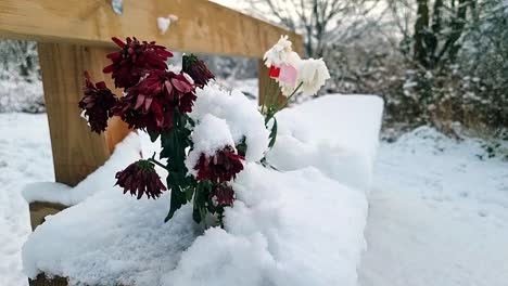 Frozen-bunch-of-memorial-flowers-on-snowy-wooden-park-bench