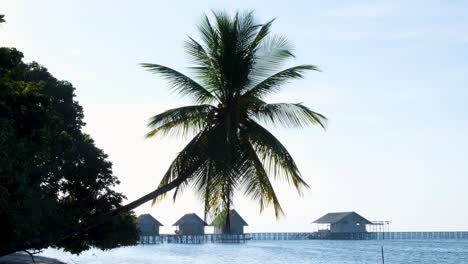 Exotic,-scenic-landscape-view-of-coconut-palm-tree-fluttering-in-breeze-with-wooden-beach-huts-overlooking-ocean-water-on-tropical-island-in-Raja-Ampat,-West-Papua,-Indonesia