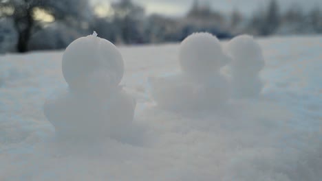Collection-of-shaped-snow-ducks-decoration-sitting-in-a-row-in-snowy-winter-landscape