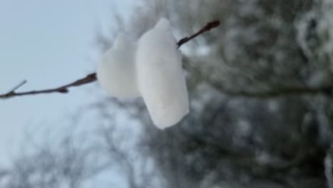 VERTICAL-Shaped-frozen-snow-ducks-decoration-hanging-from-bare-winter-tree-branches
