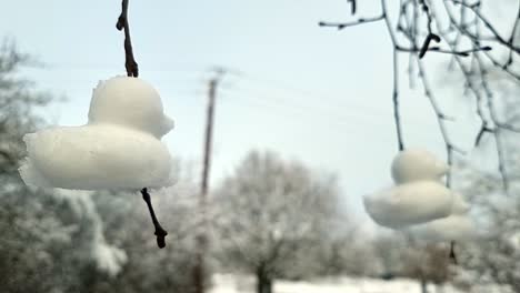 Shaped-snow-ducks-decoration-suspended-from-bare-winter-tree-branches