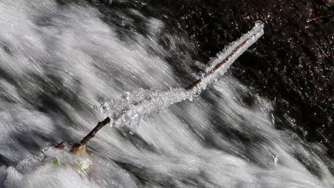 Ice-formed-on-a-branch-by-waterfall-in-a-small-stream