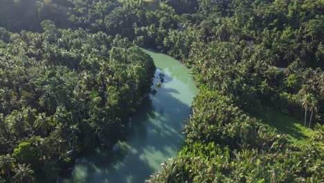 That's-what-a-river-in-the-Philippines-looks-like,-surrounded-by-palm-trees-and-jungle,-some-small-houses-from-local-people