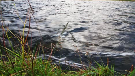 Statische-Aufnahme-Eines-Flusses,-Der-Im-Sommer-Vom-Seljalandfoss-Kommt,-Einem-Der-Schönsten-Wasserfälle-Islands