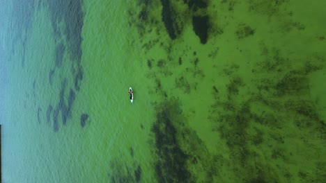 Drone-Acercándose-A-Una-Persona-Haciendo-Kayak-En-Los-Cayos-De-Florida