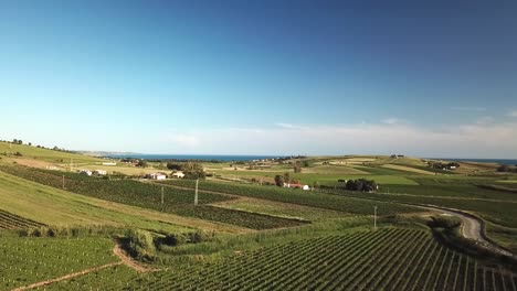 Fly-over-Vineyards-toward-the-sea-in-Sicily