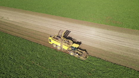 Aerial-shot-of-a-yellow-beet-harvester-on-a-striped-field