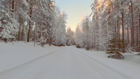 Golden-sun-dapples-winter-forest-trees-on-snow-packed-road-POV-drive-Finland