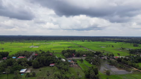 Reiche-Kambodschanische-Reisfelder,-Während-Sich-Regenwolken-Sammeln
