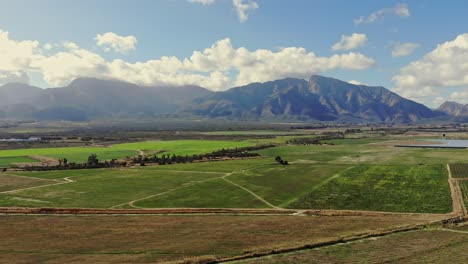 Drone-flying-slow-displaying-green-lush-vineyards-with-a-big-mountain-range-in-the-distant