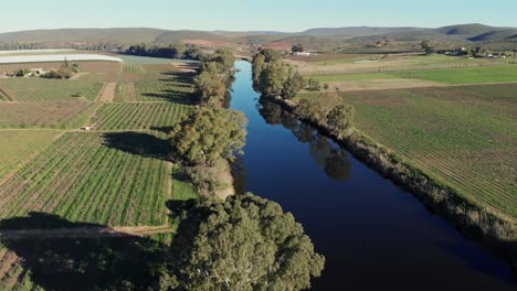 Drone-flying-over-calm-and-still-river-surrounded-by-a-landscape-of-green-vineyards-on-a-sunny-day
