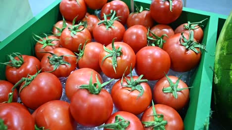 Auf-Dem-Landwirtschaftsfestival-In-Den-Vereinigten-Arabischen-Emiraten-Werden-Lokal-Angebaute-Tomaten-Präsentiert-Und-Zum-Verkauf-Angeboten