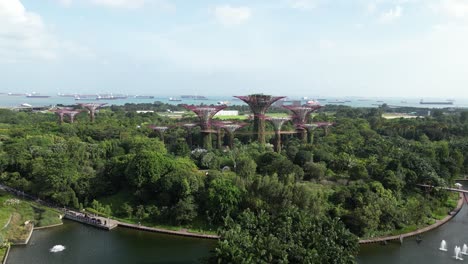 Drone-Disparado-Sobre-Los-Jardines-Junto-Al-Bosque-De-La-Bahía-En-Singapur