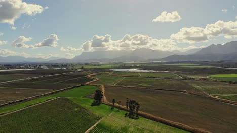 Drone-flying-high-over-a-beautiful-landscape-of-vineyards-with-mountains-in-the-distant-on-a-sunny-day-with-a-few-clouds-in-the-sky