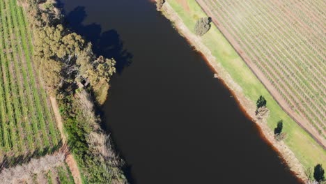 drone-flying-high-panning-up-from-the-breede-river-displaying-green-lush-landscape-of-vineyards