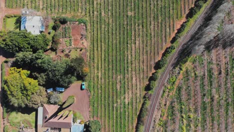 Drone-looking-down-flying-over-a-house-next-to-a-train-track-and-vineyards