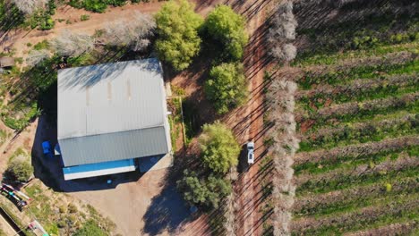 aerial-view-showing-4x4-pick-up-truck-driving-pass-a-building-along-a-dirt-road-surrounded-by-green-vineyards