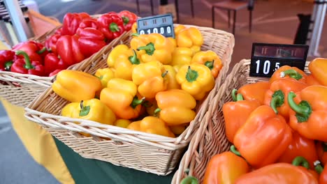 At-the-agriculture-festival-in-the-United-Arab-Emirates,-locally-grown-bell-peppers-are-showcased-and-offered-for-sale