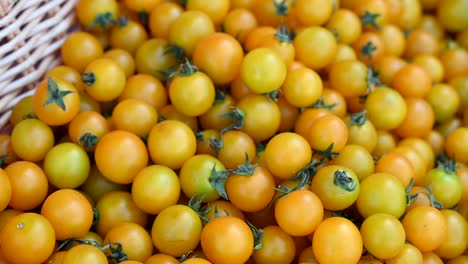 Während-Des-Landwirtschaftsfestivals-In-Den-Vereinigten-Arabischen-Emiraten-Werden-Lokal-Angebaute,-Fröhliche-Tomaten-Präsentiert-Und-Zum-Verkauf-Angeboten