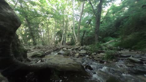 Tranquil-forest-stream-flowing-over-rocks-in-Gualba-Forest,-Barcelona,-with-lush-greenery-and-serene-atmosphere,-daylight