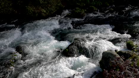 Stromschnellen-Des-Daiya-Flusses,-Turbulentes,-Tosendes-Wasser,-Faszinierende-Kraft-Der-Natur,-Zeitlupe