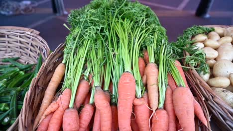 At-the-agriculture-festival-in-the-United-Arab-Emirates,-locally-grown-carrots-are-showcased-and-offered-for-sale