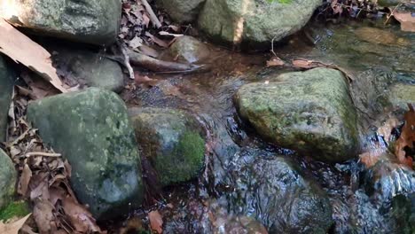 Gentle-stream-flowing-over-mossy-rocks-surrounded-by-forest-debris-in-Gualba,-Barcelona