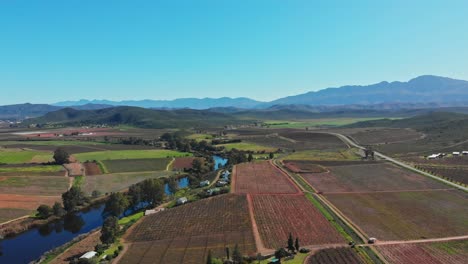 Drone-flying-slow-and-steady-displaying-a-beautiful-landscape-of-green-vineyards-next-to-the-Breede-river-with-blue-sky's-and-mountain-range-in-the-distant