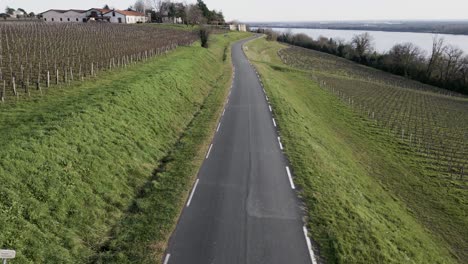 Serpentine-road-through-Bayon-sur-Gironde-vineyards,-France.-Aerial
