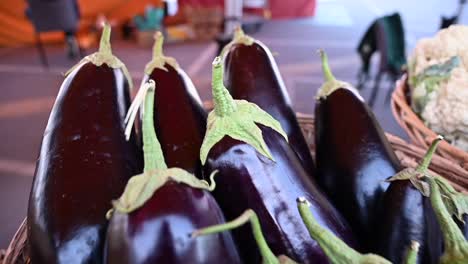At-the-agriculture-festival-in-the-UAE,-locally-grown-eggplants-are-showcased-for-sale