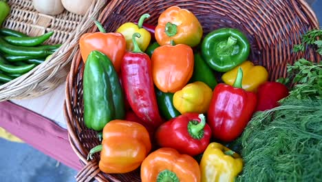 Explore-a-burst-of-colors-with-locally-grown-bell-peppers-on-display-and-for-sale-at-the-agriculture-festival-in-the-United-Arab-Emirates