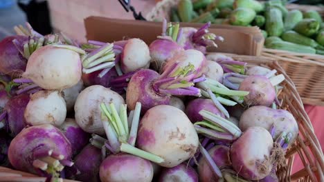 Locally-grown-beets-are-showcased-during-the-agriculture-festival-in-the-UAE