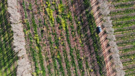 aerial-view-of-a-4x4-Pick-up-truck-driving-on-a-dirt-road-next-to-vineyards-approaching-train-tracks