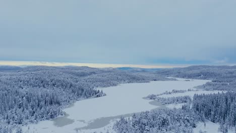 Winterlandschaft-Mit-Schneebedeckten-Nadelwäldern-In-Indre-Fosen,-Norwegen---Luftaufnahme