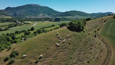Sheep-grazing-on-a-green-hillside-in-the-Basque-Country-with-mountains-in-the-background,-aerial-view