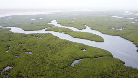 Ariel-Ansicht-Eines-Flusses,-Der-Sich-Durch-Mangroven-Im-Senegal-Schlängelt