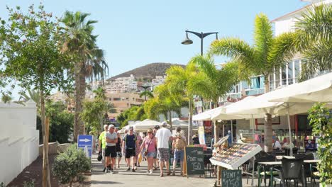 Famosa-Calle-De-Las-Américas-En-La-Isla-De-Tenerife-Con-Palmeras